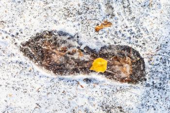 top view of frozen footprint on path covered with the first snow in cold autumn day