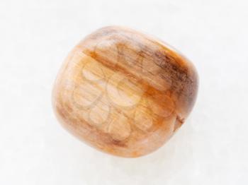 macro shooting of natural mineral rock specimen - tumbled brown tiger's eye gem on white marble background