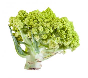 side view of fresh romanesco broccoli isolated on white background
