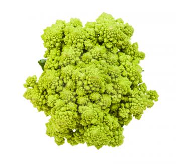 top view of fresh romanesco broccoli isolated on white background