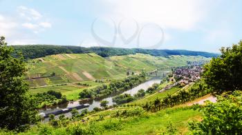 travel to Germany - panorama of valley of Mosel river in Cochem - Zell region on Moselle wine route in sunny summer day