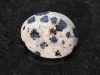 macro shooting of natural mineral rock specimen - polished dalmatian stone on dark granite background