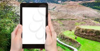 travel concept - tourist photographs Rice Terraces near Dazhai village in Longsheng (Dragon's Backbone, Longji) county in China in spring on tablet with cut out screen for advertising logo