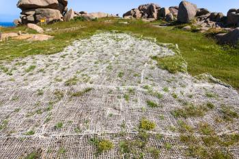 travel to France - grass protection mesh in Ploumanac'h site of Perros-Guirec commune on Pink Granite Coast of Cotes-d'Armor department in the north of Brittany in sunny summer day