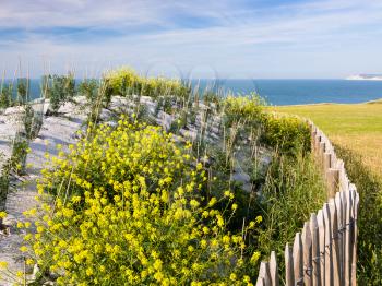 travel to France - Second World War bunker on Cap Gris-Nez on English channel in Cote d'Opale district in Pas-de-Calais region of France in summer day