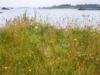 travel in France - green grass on cape on coast of Gouffre gulf of English Channel near Plougrescant town of the Cotes-d'Armor department in Brittany in summer