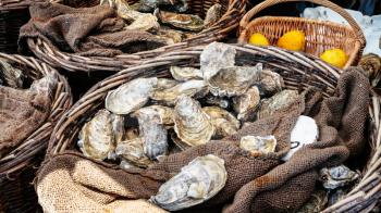 travel to France - fresh raw oysters on outdoor street market in Cancale town in Brittany in summer day