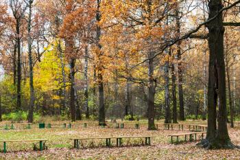 oak trees near recreation area in urban Timiryazevskiy park in Moscow city in autumn