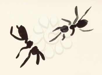 training drawing in suibokuga sumi-e style with watercolor paints - two ants hand painted on cream colored paper
