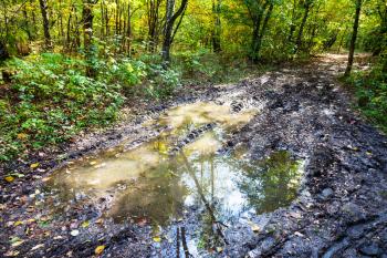 deep puddle on dirty road in autumn forest of Timiryazevsky Park in sunny october day