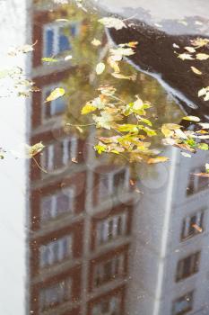 fallen leaves in puddle with reflection of apartment house on urban road in sunny autumn day (focus on the leaves)