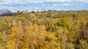 yellow forest of Timiryazevskiy park and city street in Moscow in sunny october day