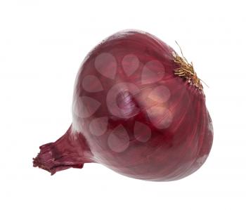 bulb of ripe red onion isolated on white background