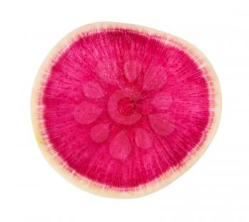 red slice of fresh watermelon radish isolated on white background