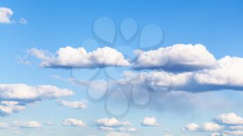 nanural panoramic background - many small cumulus clouds in blue sky on March day