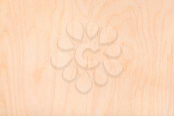 textured wooden background from natural birch plywood