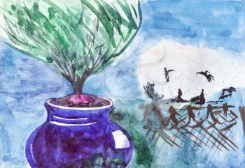 flower pot with olive tree bonsai in garden in blue evening hand painted by watercolour paints on white textured paper