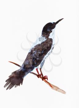 bird on branch hand painted by watercolour paints on white textured paper