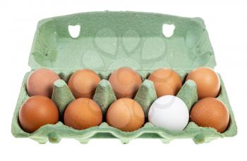 ten chicken eggs (nine brown eggs and one white) in green cardboard container isolated on white background