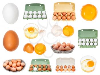 set of various raw chicken eggs isolated on white background