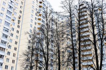 black trunks of bare trees and high-rise municipal apartment house on background on overcast autumn day