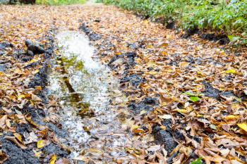 rain puddle in deep rut on dirty road close up covered with wet fallen leaves in city park on autumn day