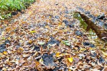 surface of dirty road with ruts covered with fallen leaves in city park on autumn day