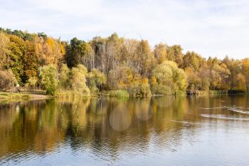 view of pond with yellow trees on shore in city park in autumn morning