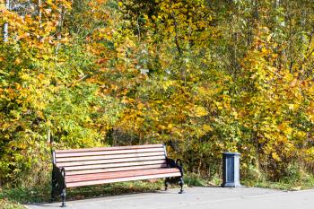 wooden bench lit by sun and trash can near colorful trees along footpath in city park on sunny autumn day