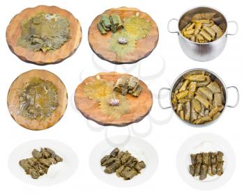 collection of Dolma cooking (armenian dish dolma from grape leaves and mince meat with rice) isolated on white background