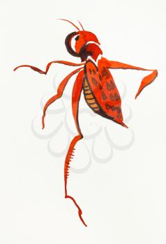 red locust hand-drawn by watercolors on creamy-white paper in sumi-e (suibokuga) style