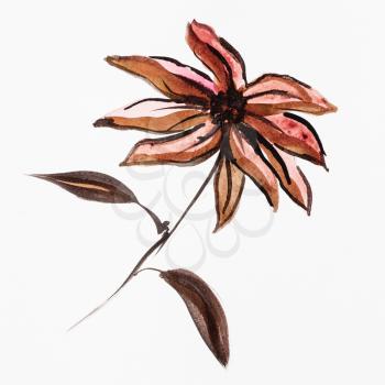 training drawing in sumi-e (suibokuga) style - poinsettia flower handpainted by brown watercolors on white paper
