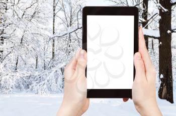 travel concept - tourist photographs of snow-covered meadow in city park in winter in Moscow city on smartphone with empty cutout screen with blank place for advertising