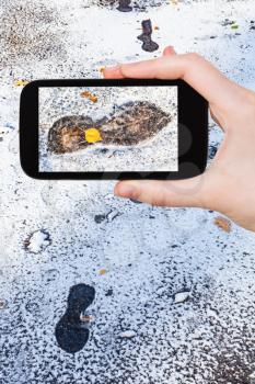 travel concept - tourist photographs of frozen footprints on wet road covered with the first snow in frosty autumn day on smartphone in Moscow, Russia