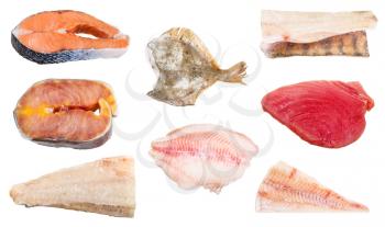 various raw frozen fishes, steaks and fillets (zander, sturgeon, ocean perch, tuna, cod, salmon, flounder) isolated on white background