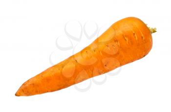 clean fresh garden carrot isolated on white background