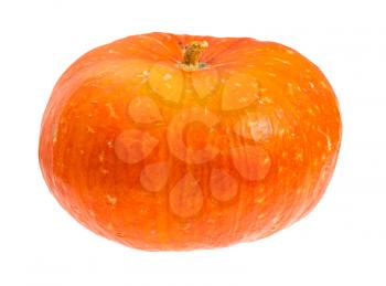 ripe orange pumpkin isolated on white background