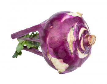 fresh bulb of purple kohlrabi cabbage isolated on white background