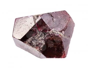 closeup of sample of natural mineral from geological collection - rough Almandine garnet crystal isolated on white background