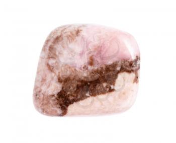 closeup of sample of natural mineral from geological collection - tumbled pink Rhodochrosite gem isolated on white background