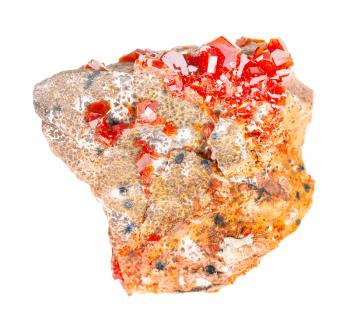 closeup of sample of natural mineral from geological collection - rough Vanadinite crystals on rock isolated on white background