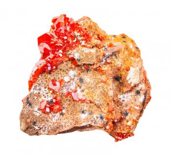 closeup of sample of natural mineral from geological collection - druse of Vanadinite crystals on rock isolated on white background