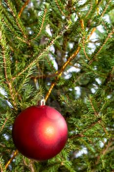 matte red ball on natural christmas tree close-up indoor