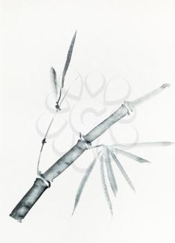 branch of bamboo hand-drawn by black ink on old textured paper in sumi-e (suibokuga) style
