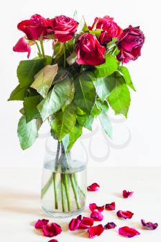 side view of bouquet of withered red rose flowers in glass vase and fallen petals on pale brown background