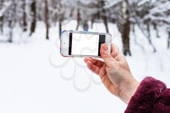 female hand holds smartphone with cutout screen in snowy forest in winter
