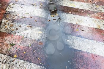 muddy rain puddle on fire road surface marking in city on autumn day