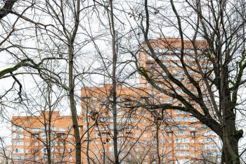 bare tree trunks and orange high-rise apartment house on background on overcast autumn day (focus on trees on foreground)