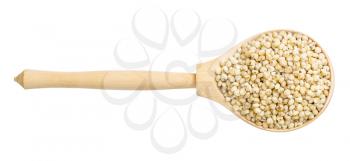 top view of raw polished Sorghum groats in wood spoon isolated on white background