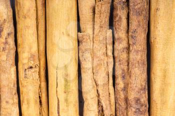 food background - several sticks of continental ceylon cinnamon